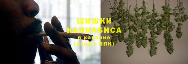 шишки Алзамай