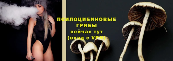 герыч Алексин