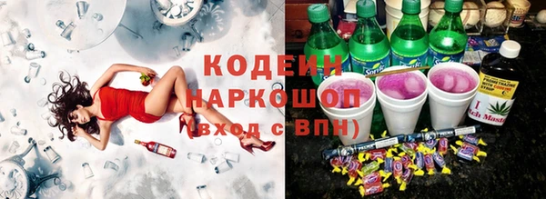 шишки Алзамай