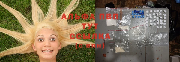 герыч Алексин