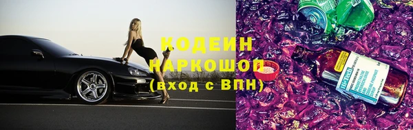 шишки Алзамай