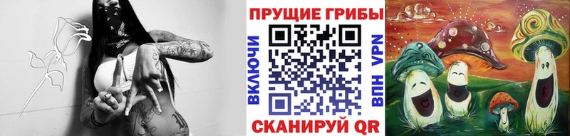 наркотики  Ардон  Псилоцибиновые грибы Cubensis 